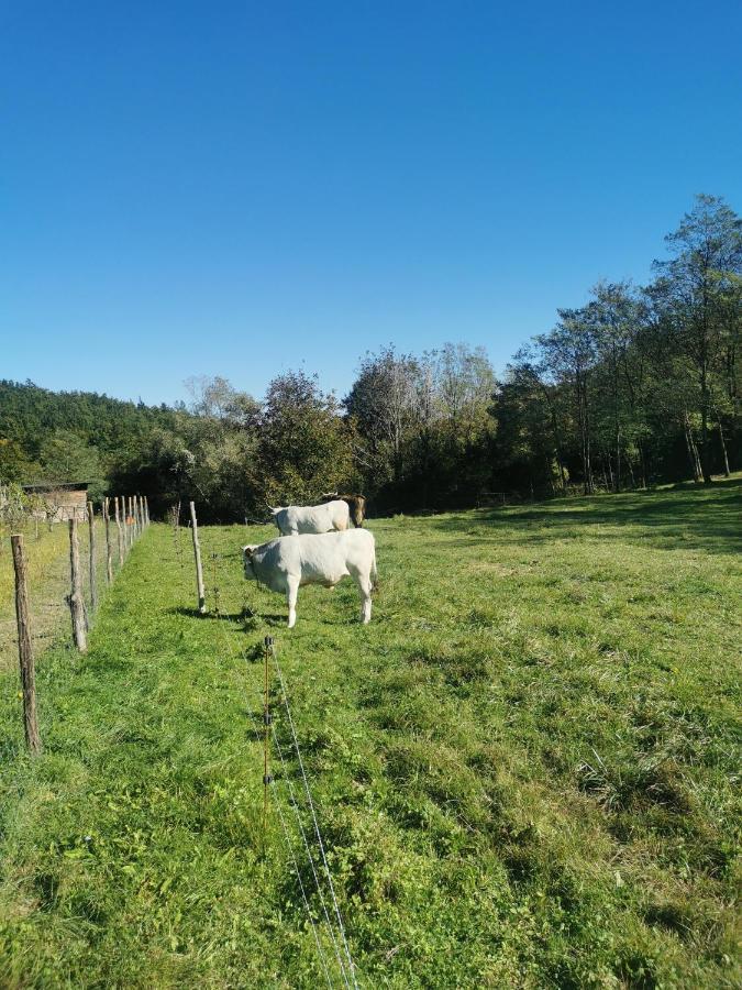 Apartma Baladur Brezovica pri Gradinu Exteriér fotografie